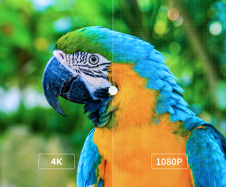 Kamvas Pro 16 Plus (4K) Kamvas Pro 16 Plus (4K)